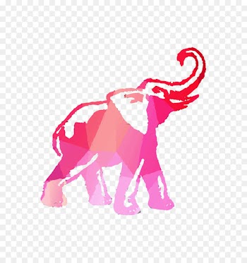 Indian elephant African elephant Image Photograph Shoe -  