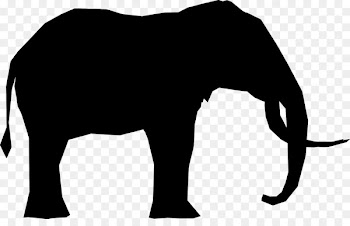 Indian elephant African elephant Mammal Horse Cattle -  