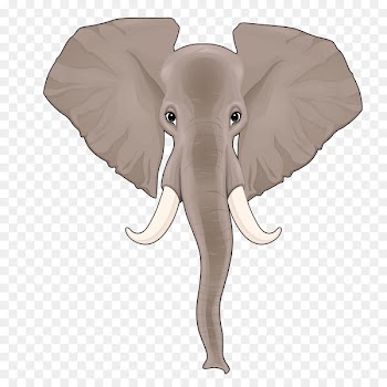 Indian elephant African elephant Nose - Vector long nose like 