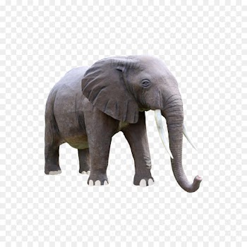Indian Elephant, Elephant, African Bush Elephant, Elephants And Mammoths PNG