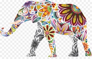 Indian elephant Elephantidae Indian people - India 