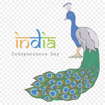 Indian Independence Day Asiatic peafowl Flag of India - Vector peacock India Independence Day 
