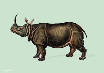 Indian rhinoceros (Rhinoceros unicornis) illu.. | Free stock vector - 467821