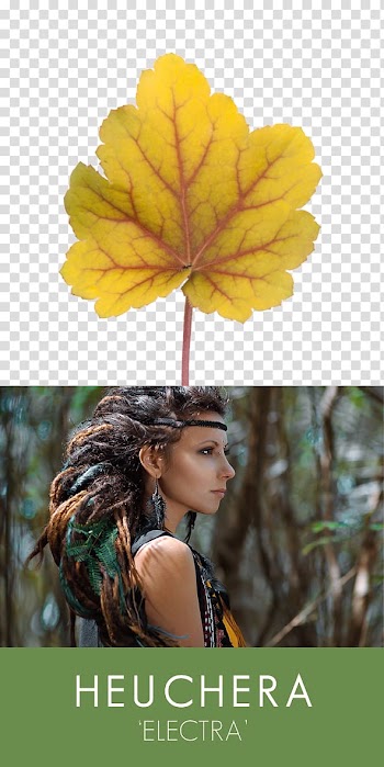 , Indian Summer transparent background PNG clipart