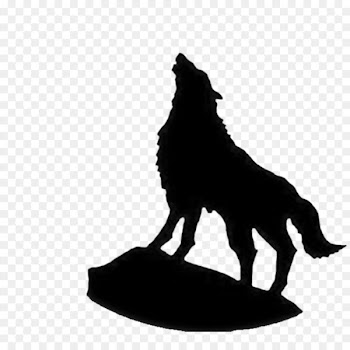 Indian wolf Samsung Galaxy S9 Screensaver Wallpaper - Fight like a wolf 