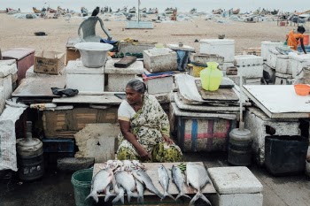 Indian woman selling fish alongside a beach.