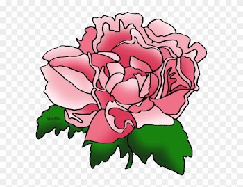 Indiana State Flower - Peonies Flower Clip Art