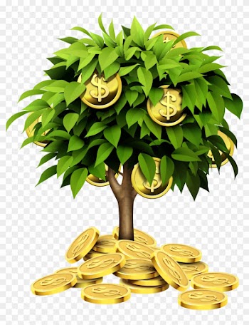 Individual Retirement Account Tree Investment Saving - 金幣 樹 圖案