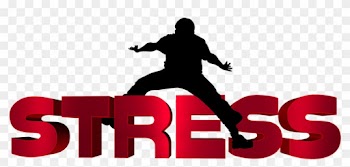 Individuals Need To Stay Focused On An Ongoing Basis, - Stressn Transparent