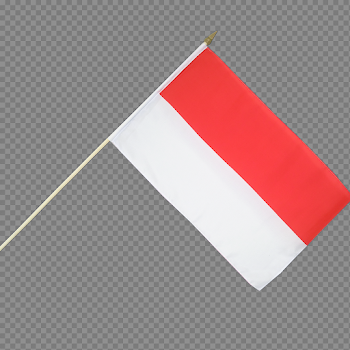 Indonesia Flag PNG Pic