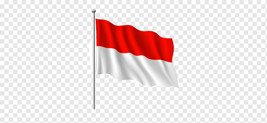 indonesia flag, red, white, indonesia png