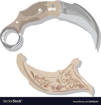Indonesian traditional knife karambit vector image