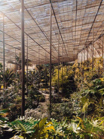 Indoor Garden