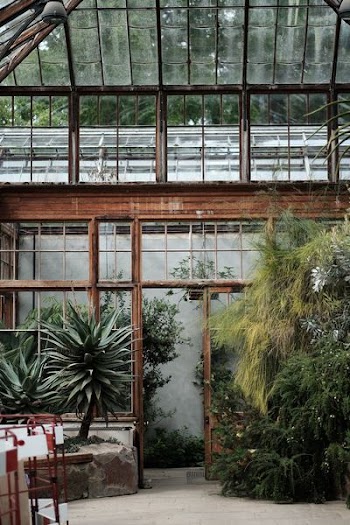indoor house with glass window photography