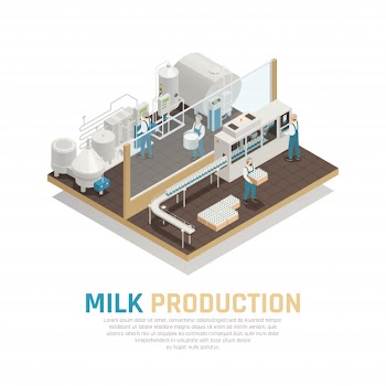 Industrial dairy production Free Vector