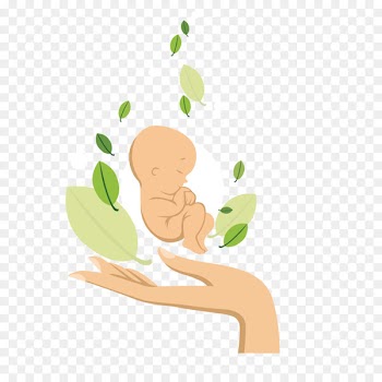 Infant Illustration - Vector newborn baby 