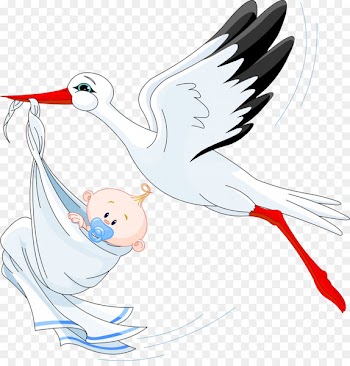 Infant Stork Clip art - stork 