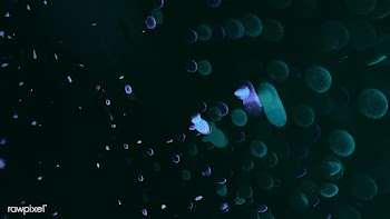 Infectious coronavirus outbreak social banner | Free  illustration - 2326122