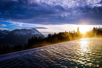 Infinity Pool Near the Forest during Golden Hour