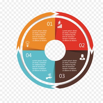 Infographic Circle Chart - Vector color classification information map 