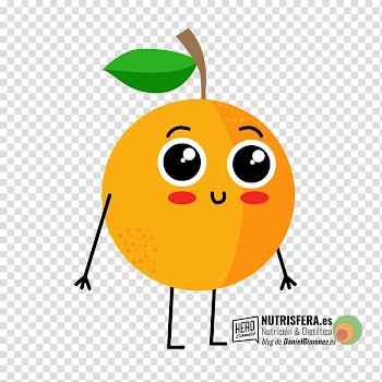 Infographic Fruit Drawing Food, almuerzo transparent background PNG clipart
