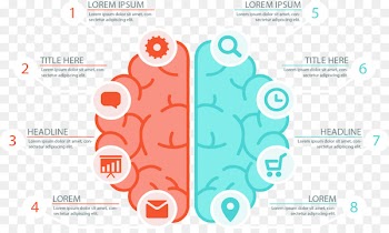 Infographic Icon - Left and right brain Chart 