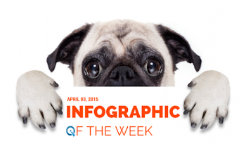 Infographic of the Week: Dogs vs. Cats, The Great Debate - qSample ...