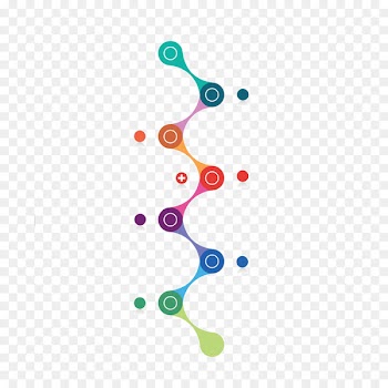 Infographic Timeline Information - Timeline 