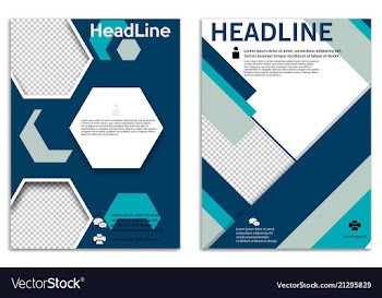 Infographics in brochures for minimalist design vector image