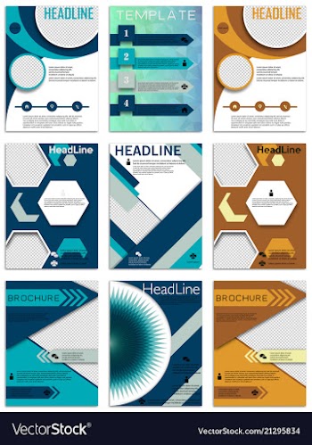 Infographics in brochures for minimalist design vector image