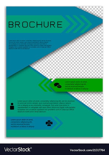 Infographics in brochures for minimalist design vector image