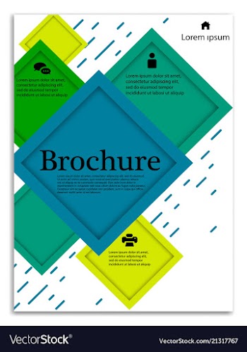 Infographics in brochures for minimalist design vector image