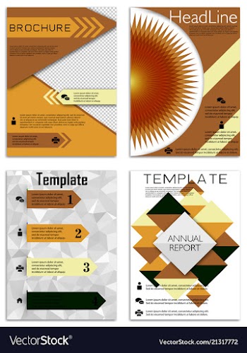 Infographics in brochures for minimalist design vector image