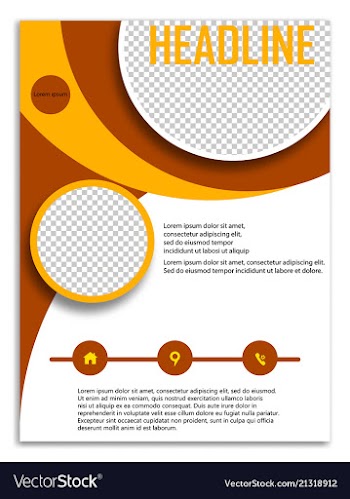Infographics in brochures for minimalist design vector image