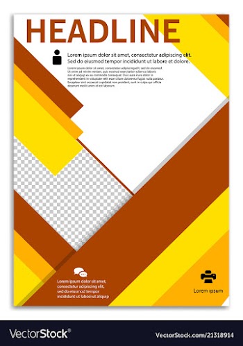 Infographics in brochures for minimalist design vector image