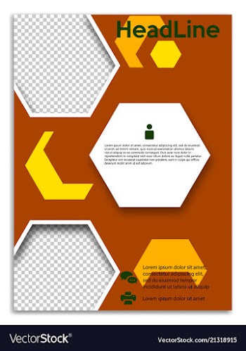 Infographics in brochures for minimalist design vector image