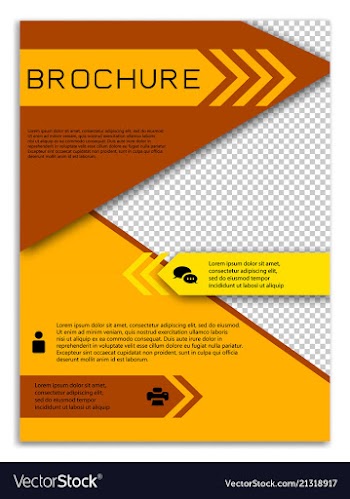 Infographics in brochures for minimalist design vector image