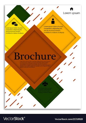Infographics in brochures for minimalist design vector image