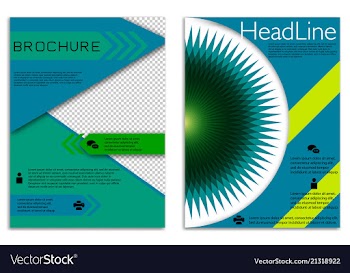 Infographics in brochures for minimalist design vector image