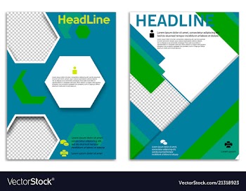 Infographics in brochures for minimalist design vector image