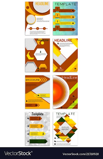 Infographics in brochures for minimalist design vector image