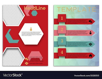 Infographics in brochures for minimalist design vector image