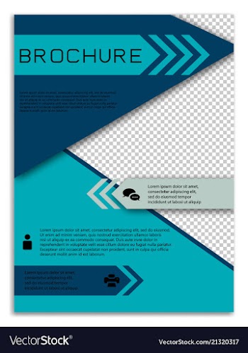 Infographics in brochures for minimalist design vector image