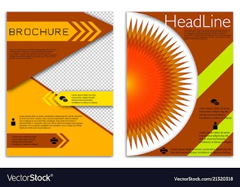Infographics in brochures for minimalist design vector image