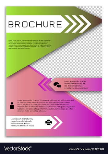 Infographics in brochures for minimalist design vector image
