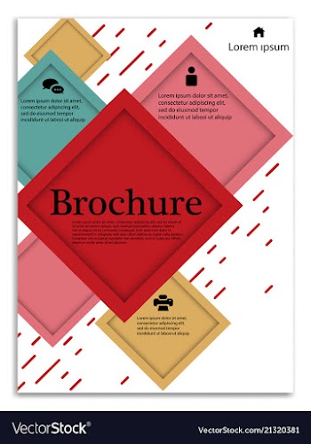 Infographics in brochures for minimalist design vector image