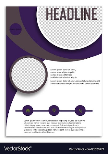 Infographics in brochures for minimalist design vector image