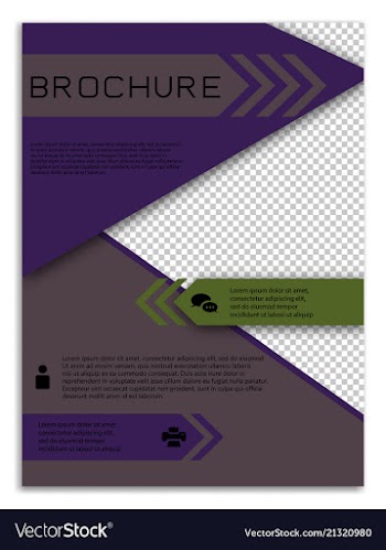 Infographics in brochures for minimalist design vector image