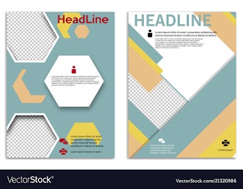 Infographics in brochures for minimalist design vector image