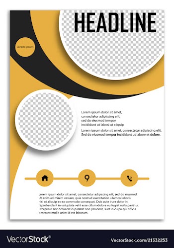 Infographics in brochures for minimalist design vector image
